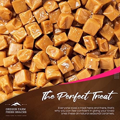 Salted Caramel Gourmet Candy (16 oz) D571
