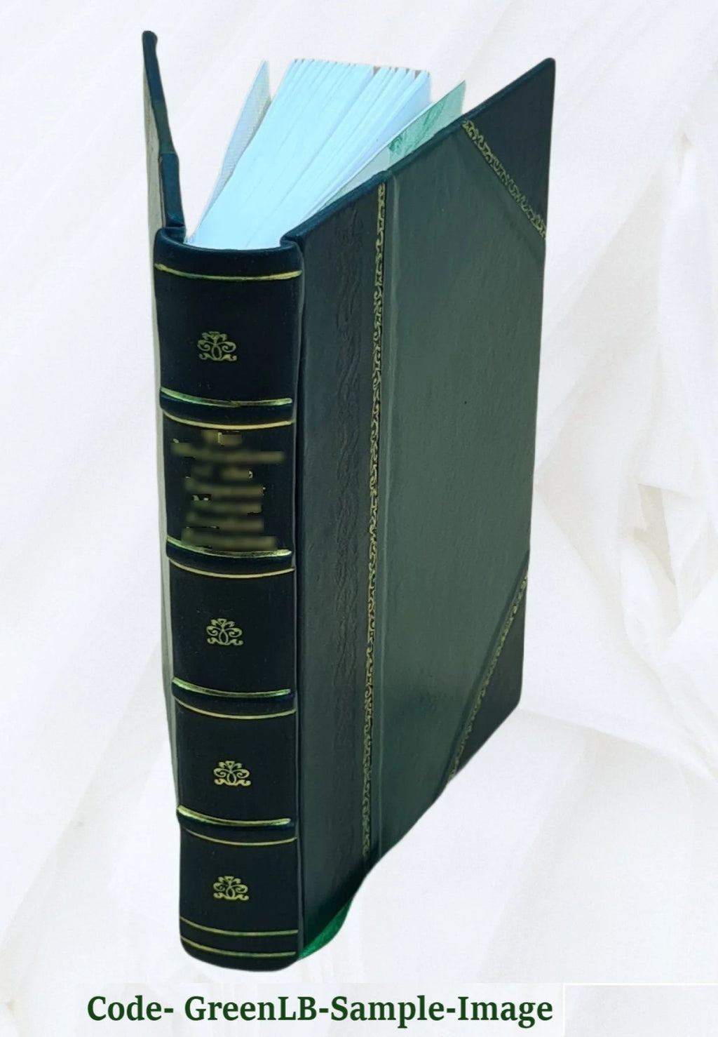 Gros : sa vie et ses ouvrages / par J. B. Delestre. 1867 [Leather Bound] K801