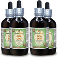 Trichosanthes Dried Fruit Alcohol-Free Liquid Extract N58088