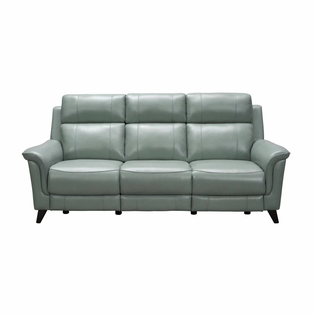 Leather Power Reclining Sofa C876877