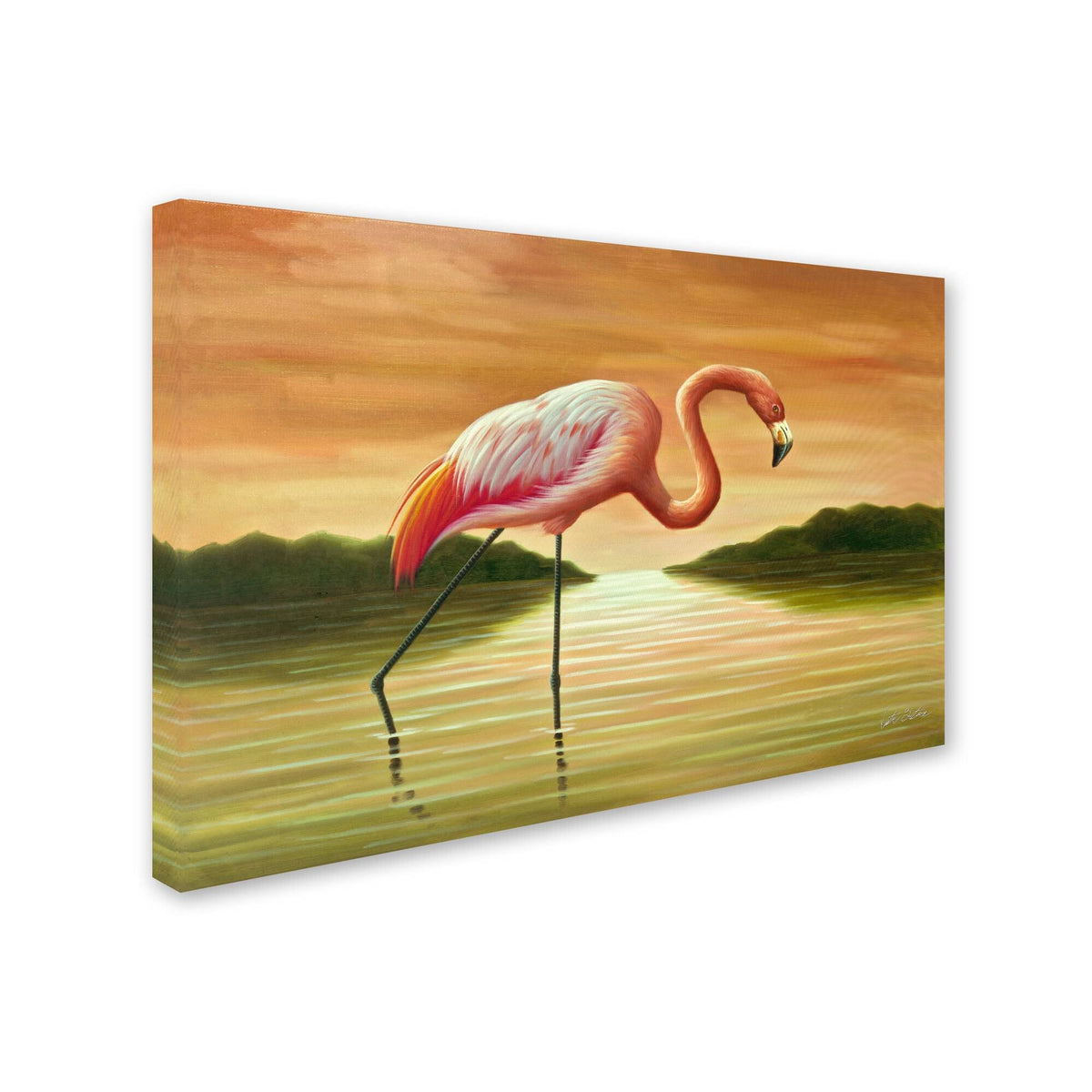 Pink Flamingo Canvas Art Y68001