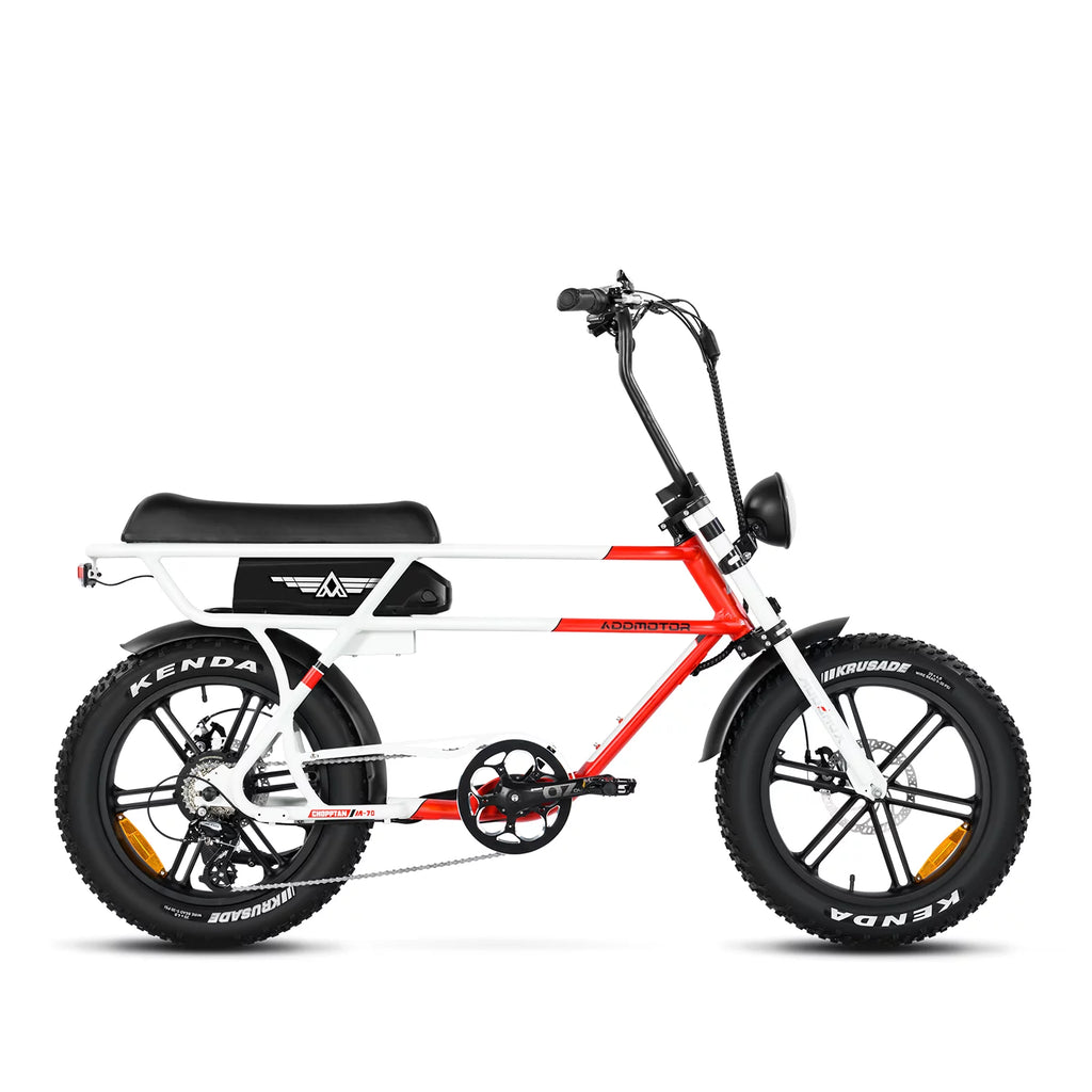 750W 20" Fat Tire Electric Bike J296