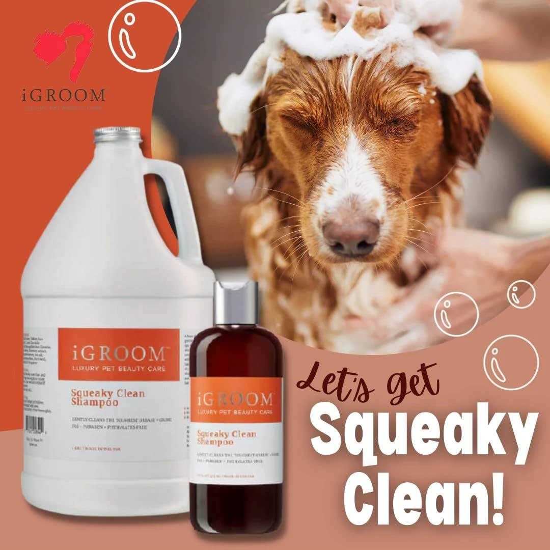 Squeaky Clean Shampoo H242