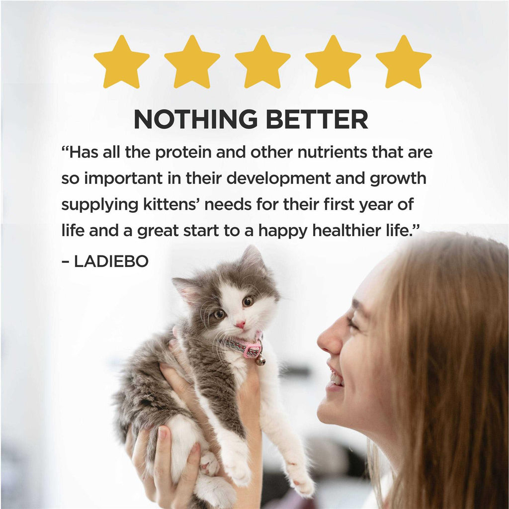 Kitten Dry Cat Food N6232