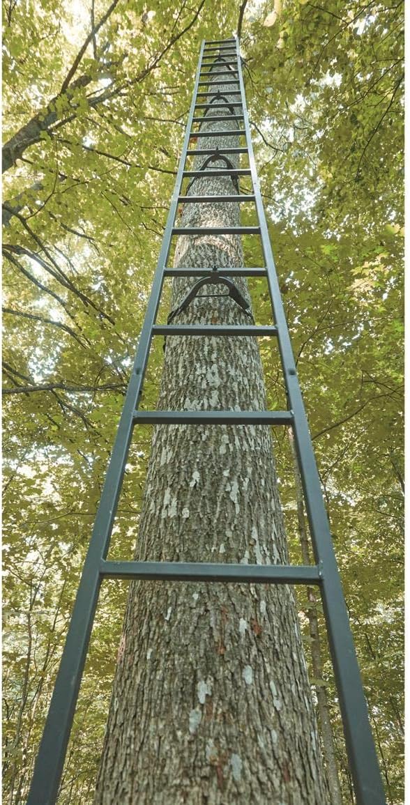 20' Wide Climbing Tree Stand S20308