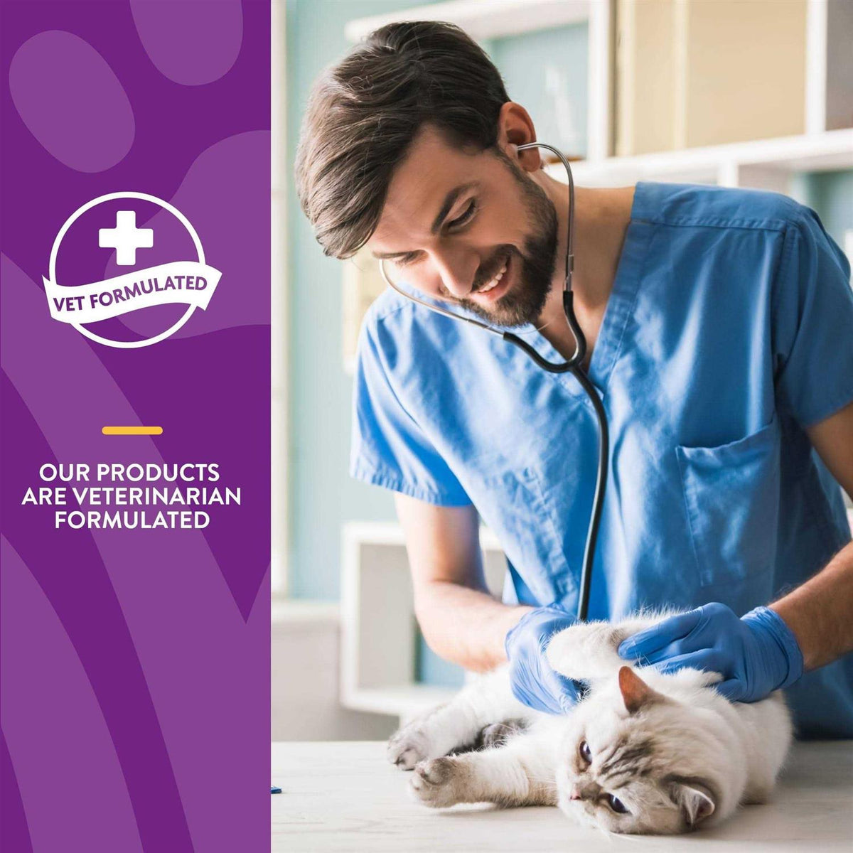 Senior Daily Vitamins Plus Glucosamine Cat Soft Chews R96132