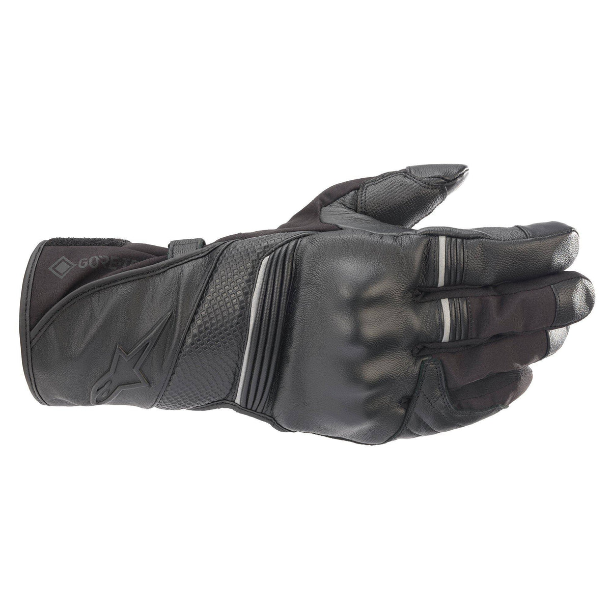 GORE-TEX Gloves (Black) M426