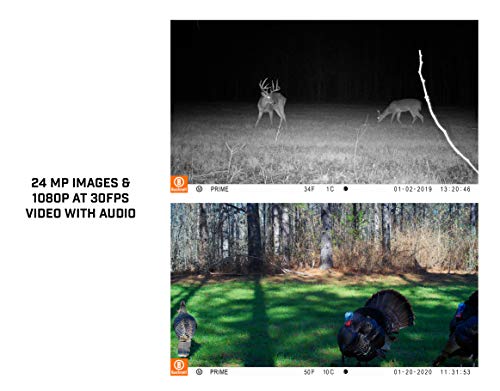 24MP 1080p HD Trail Camera Brown S37798