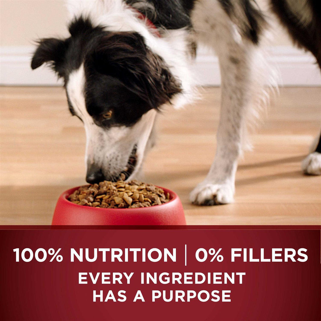 Turkey and Venison Dry Dog Food A6958