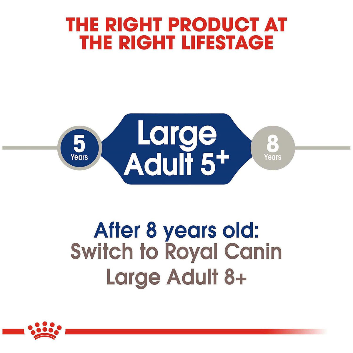 Large Adult Dry Dog Food K834701
