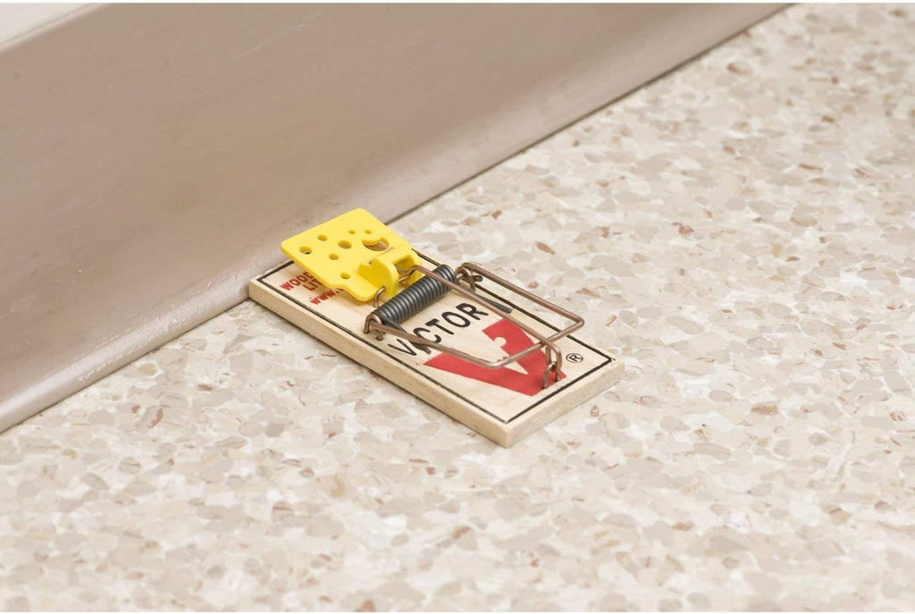 4 Pack Wooden Mouse Trap N7036