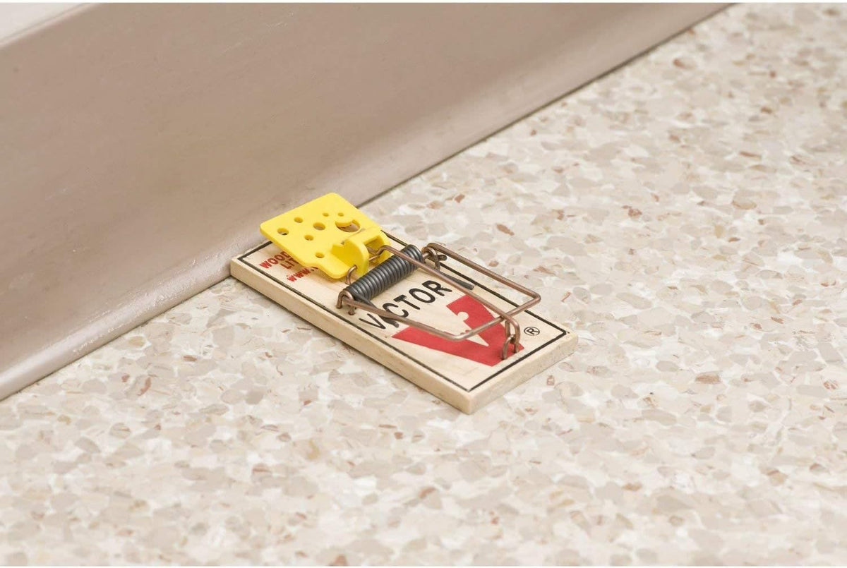 4 Pack Wooden Mouse Trap N7036