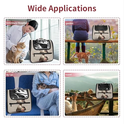 Pet Travel Carrier Soft Sided Portable Bag U26670