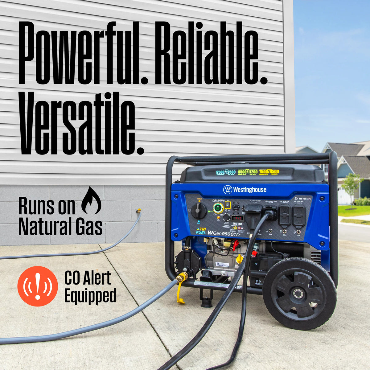 12,500 Peak Watt Dual Fuel Portable Generator G3215