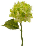 Hydrangea Spray Green 12 Pieces A79836