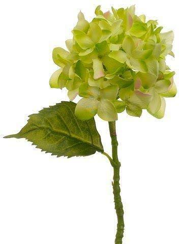 Hydrangea Spray Green 12 Pieces A79836