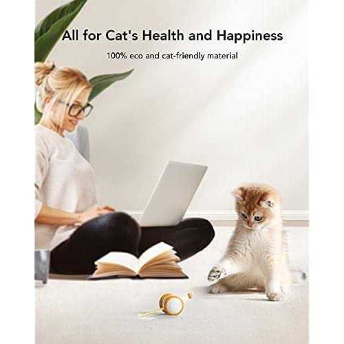 Interactive Cat Toys with LED Lights U8977