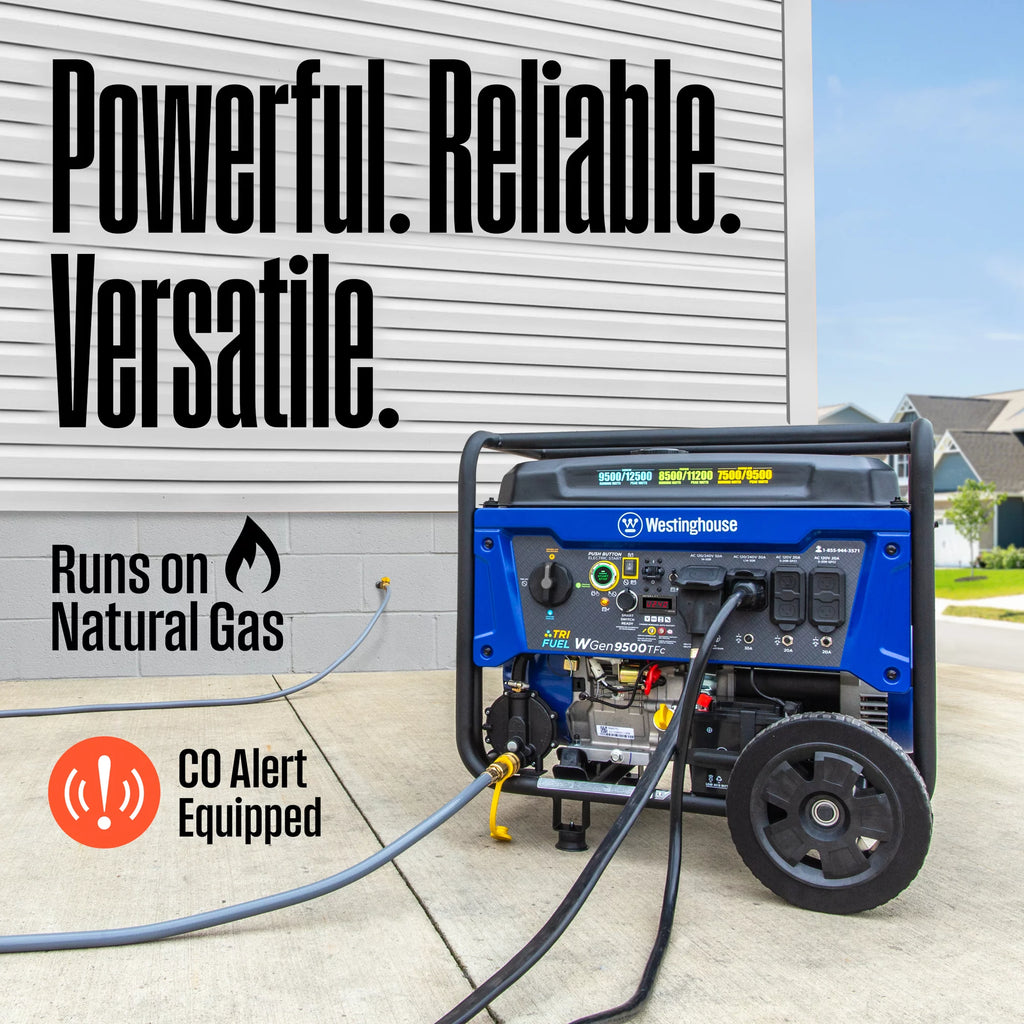 12,500 Peak Watt Dual Fuel Portable Generator G3215