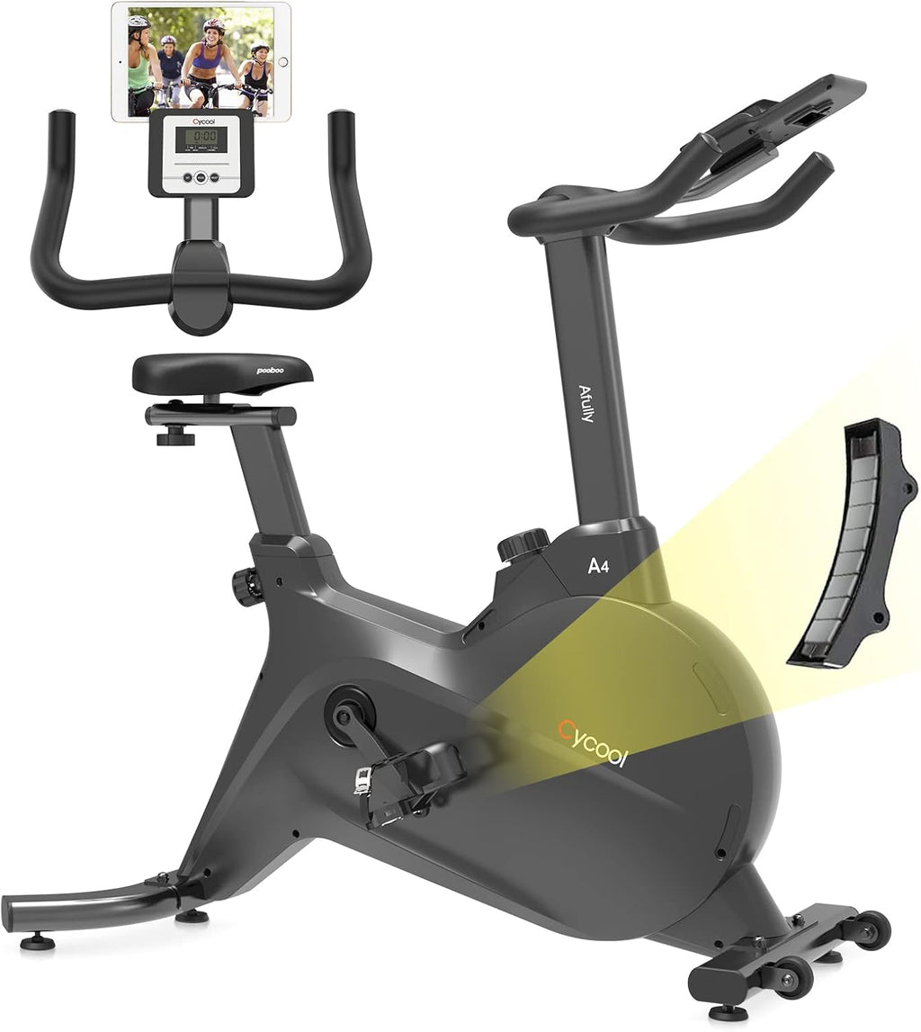 Indoor Exercise Bike with Magnetic Resistance and LCD Display P4780