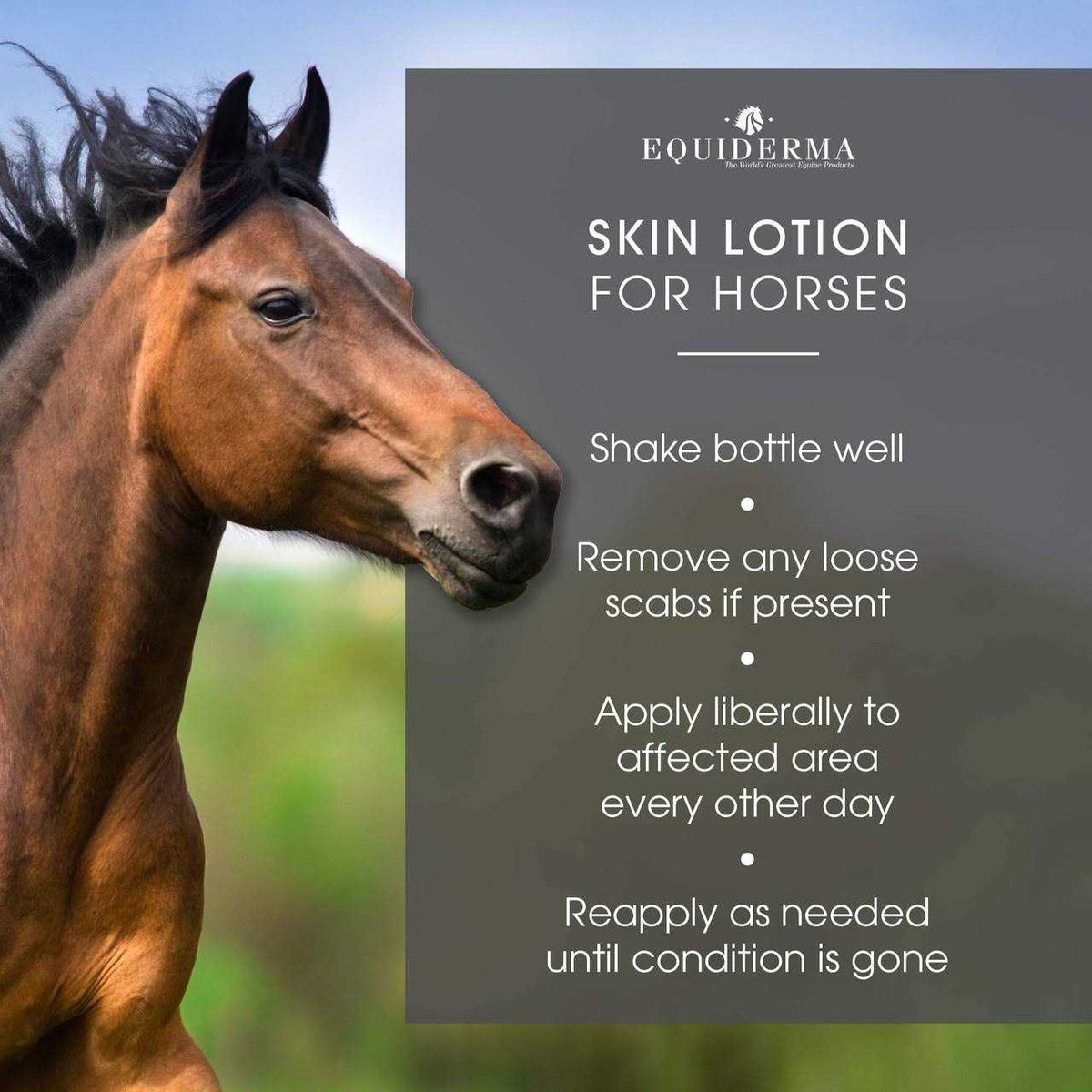 Skin Lotion Z660578