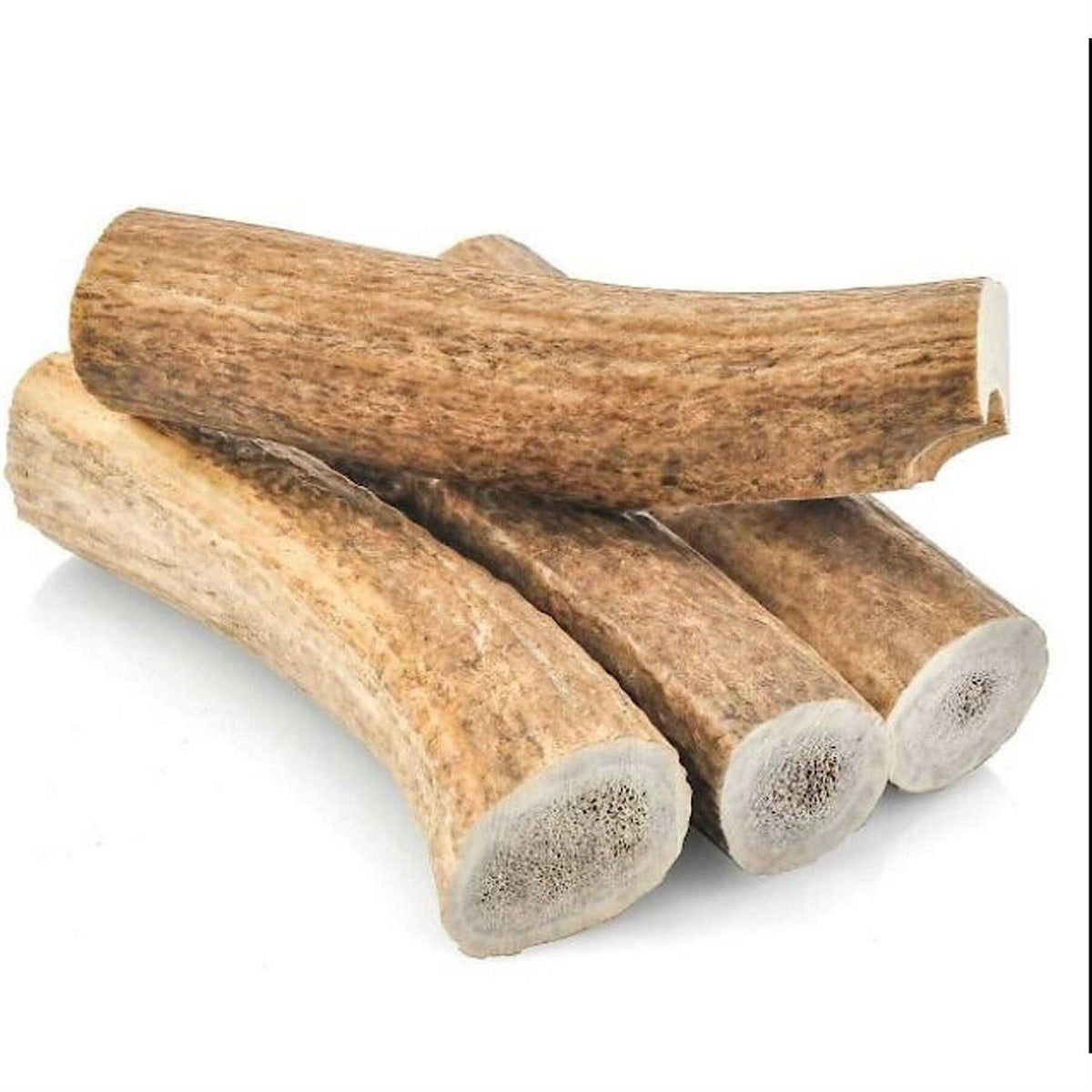 All Natural Whole Elk Antler Dog Chew V731