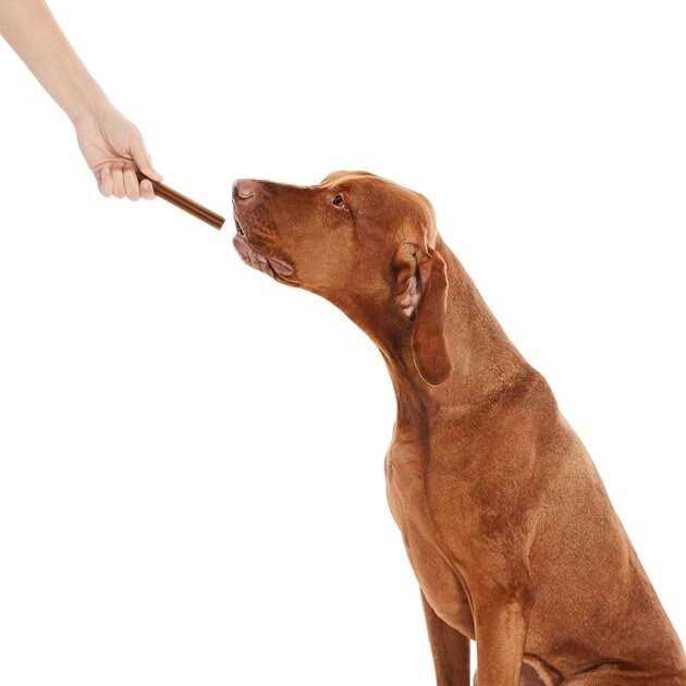All-Natural Dental Chew Sticks V49540