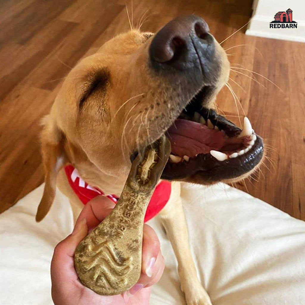 Dental Dog Chew U1160