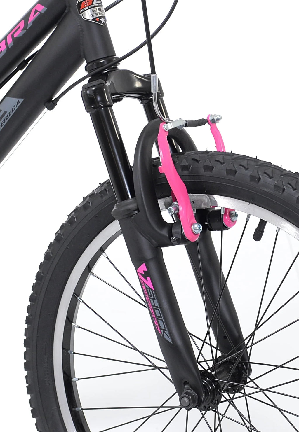 20-inch Girl's Mountain Bicycle B210023
