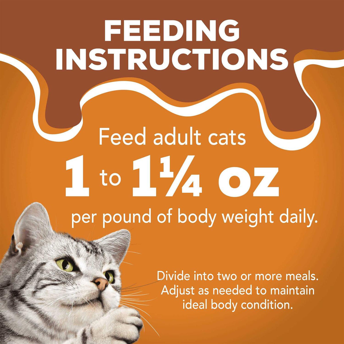 Wet Cat Food Variety Pack Z9444