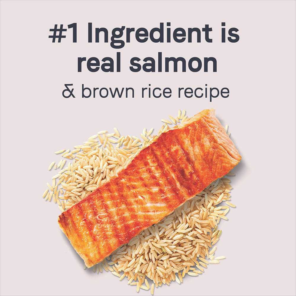 Salmon & Brown Rice Dry Dog Food K4210
