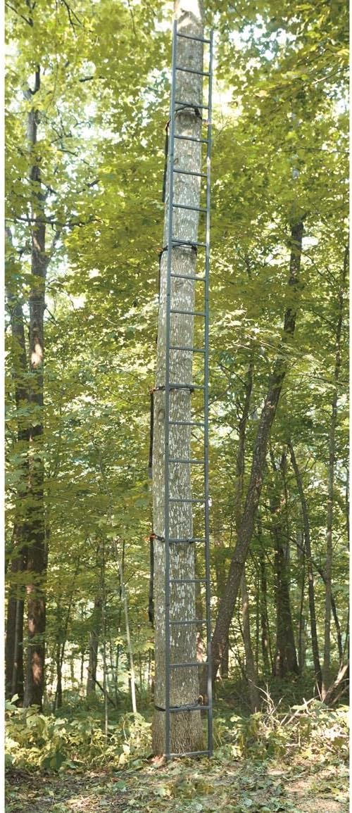 20' Wide Climbing Tree Stand S20308