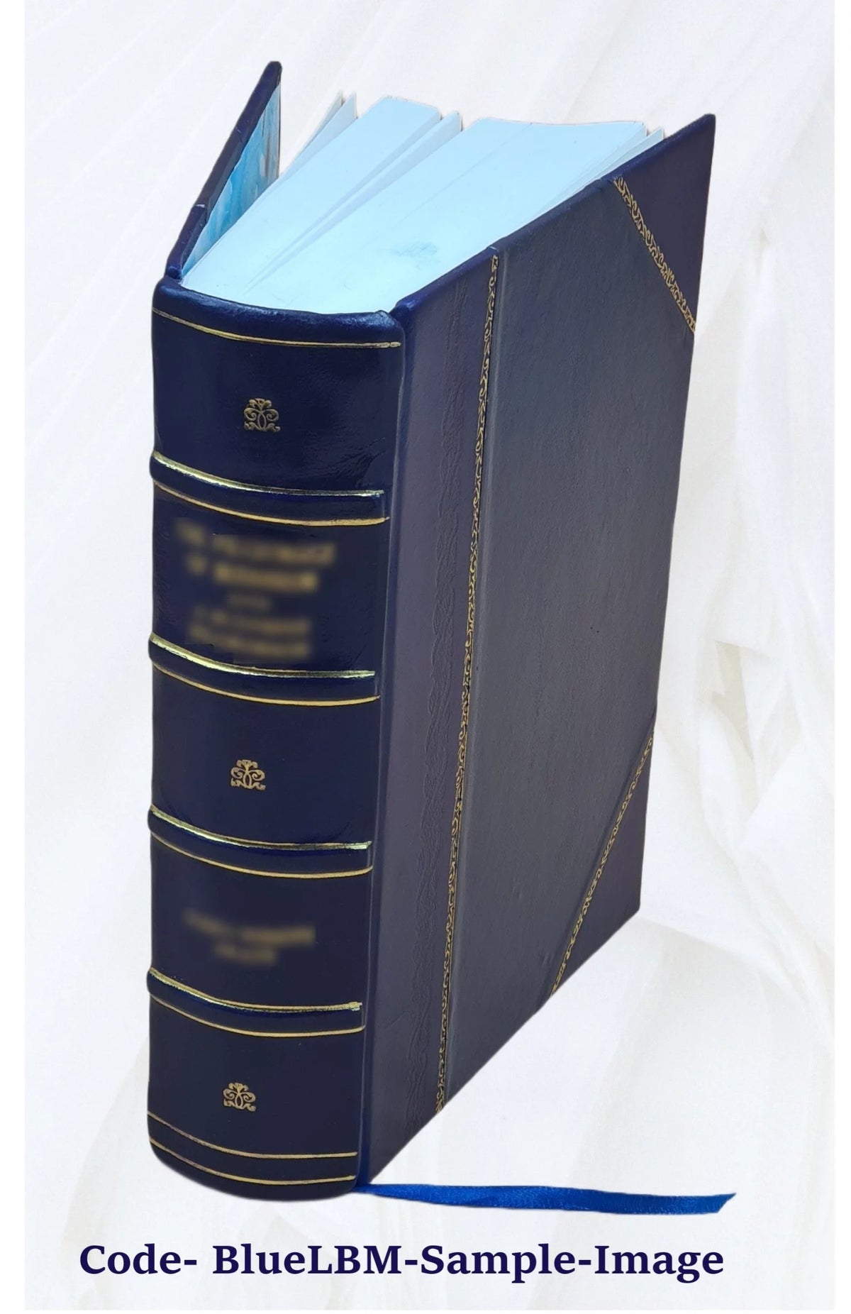 Piscataway and Woodbridge 1664-1714 Leather Bound Q6396
