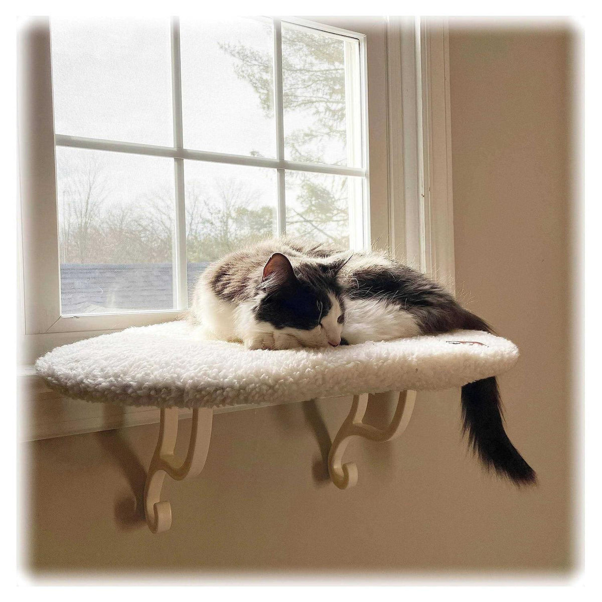 Cat Window Hammock Perch 14 X 24 Inches T18604