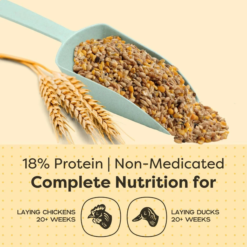 Organic Whole Grain Layer Feed + Corn 18% Protein Chicken and Duck Feed 40lb V899