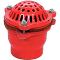 2-1/2x22 FNPT Cast Iron Foot Valve with Leather Flapper N417045