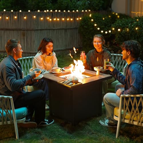 50000 BTU Propane Fire Pit Table N229708