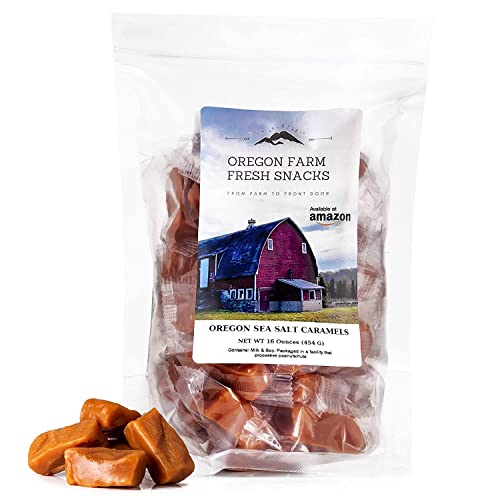 Salted Caramel Gourmet Candy (16 oz) D571