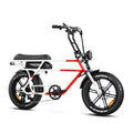 750W 20" Fat Tire Electric Bike J296