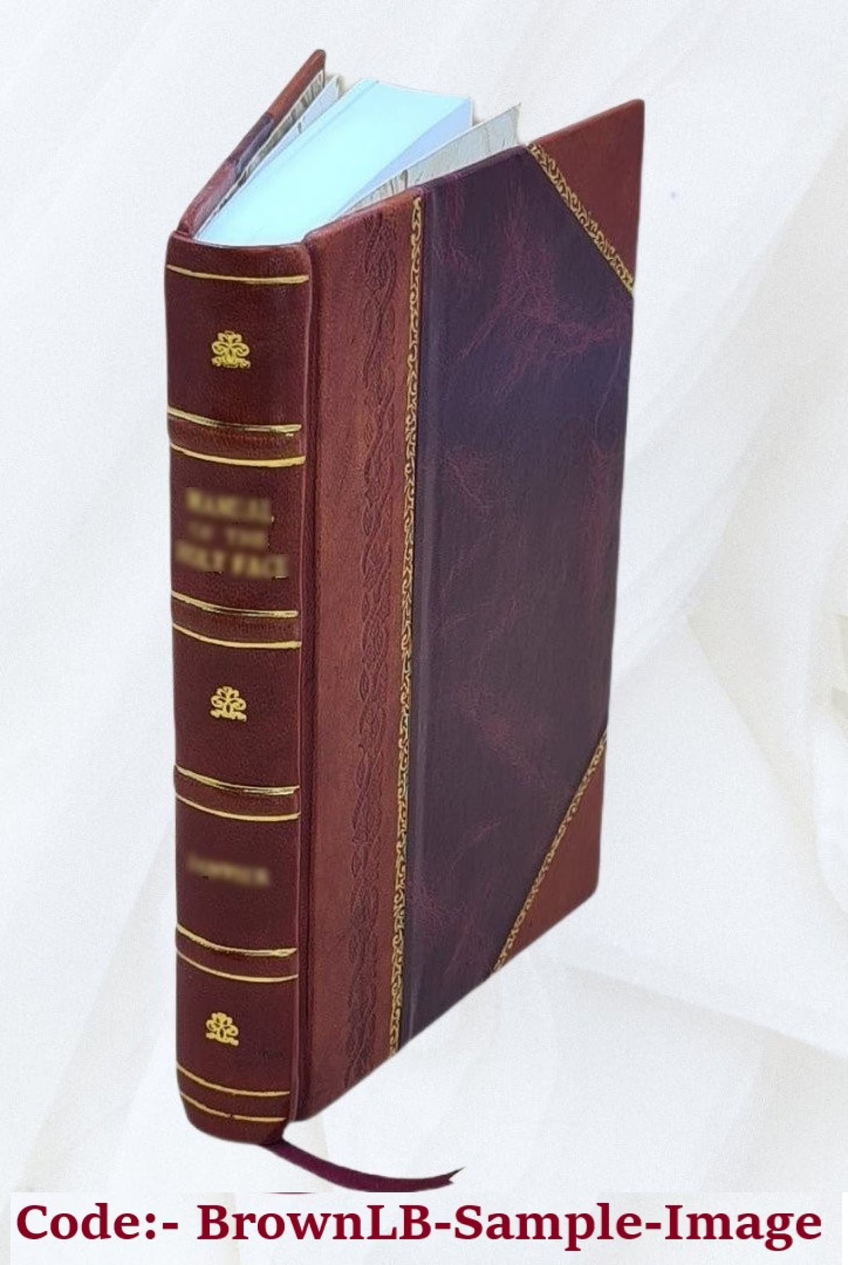 Gros : sa vie et ses ouvrages / par J. B. Delestre. 1867 [Leather Bound] K801