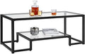 Rectangular Tempered Glass Coffee Table with 2 Tier Metal Frame O300