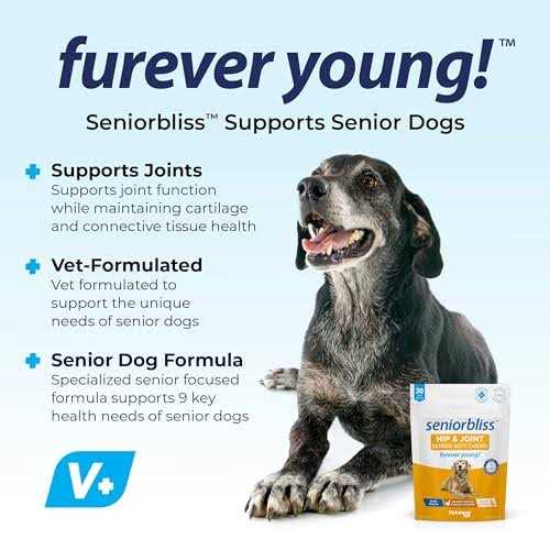 Supplement for Senior Dogs B70342