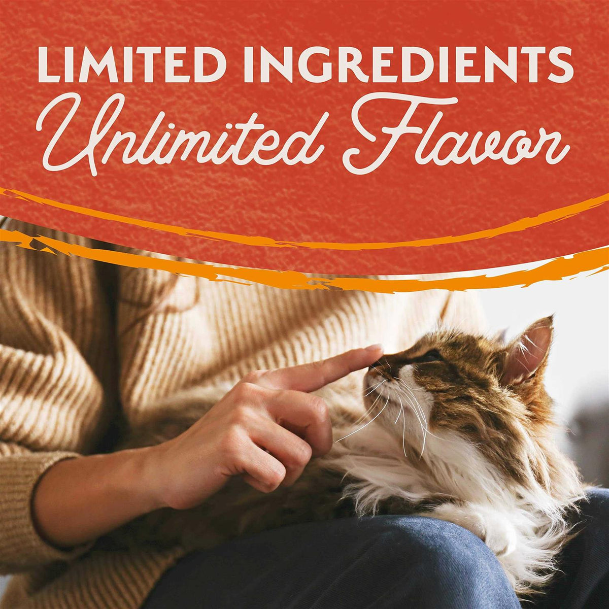 Limited Ingredient Dry Cat Food B4243