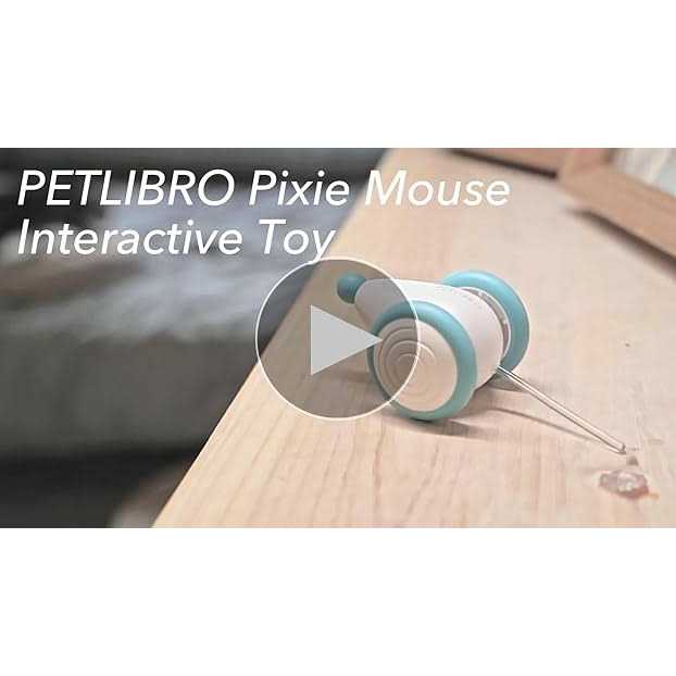 Interactive Cat Toys with LED Lights U8977