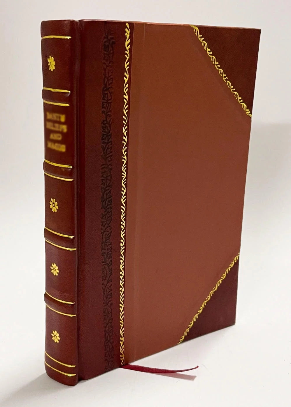 1874 Edition Leather Bound E896