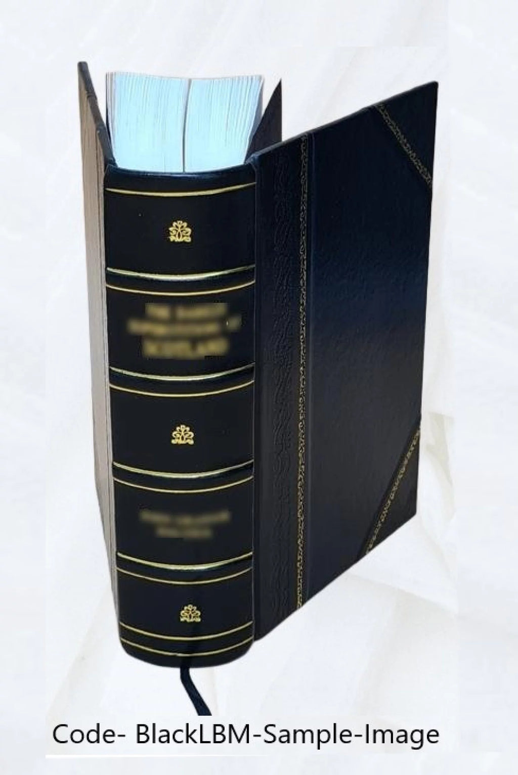 Piscataway and Woodbridge 1664-1714 Leather Bound Q6396