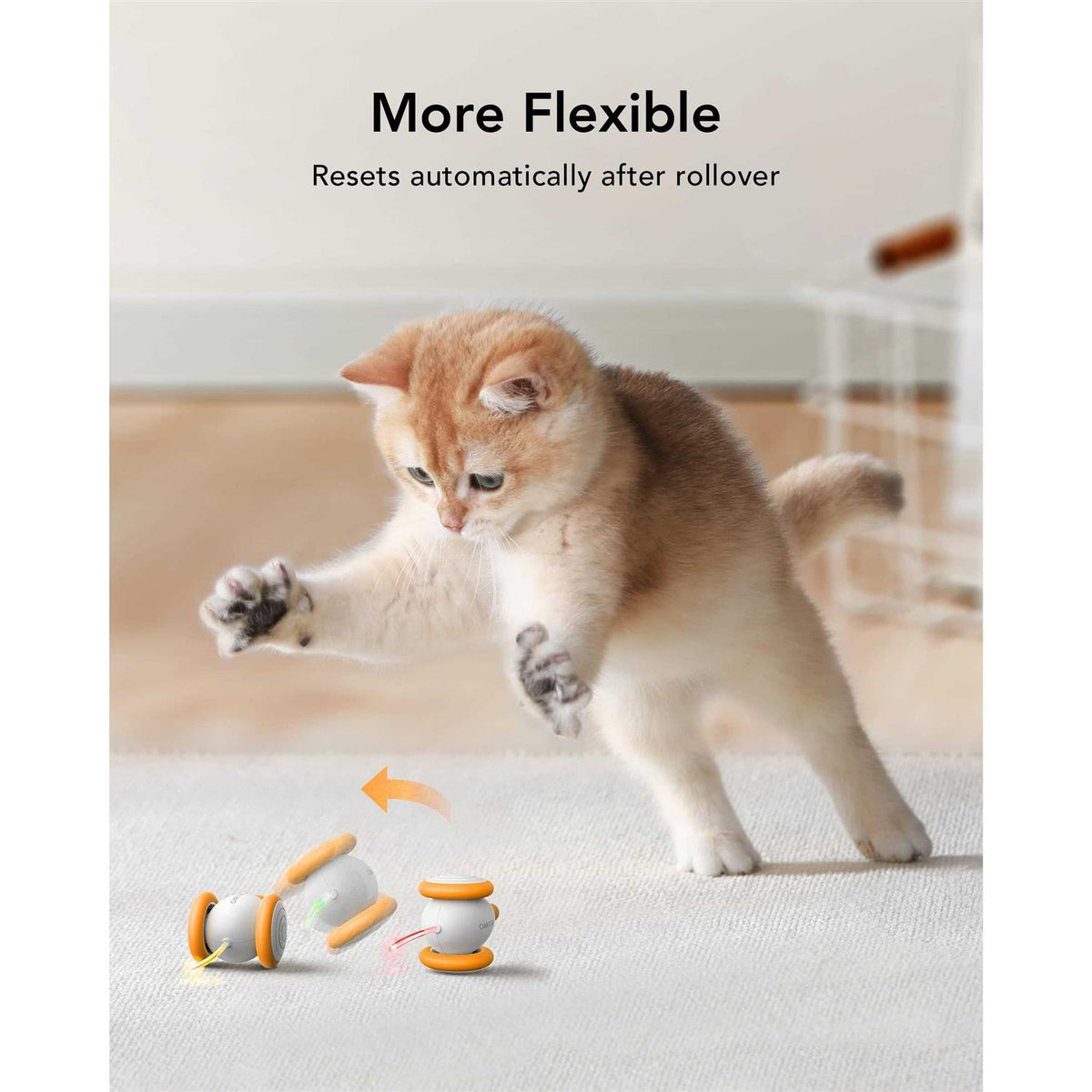 Interactive Cat Toys with LED Lights U8977