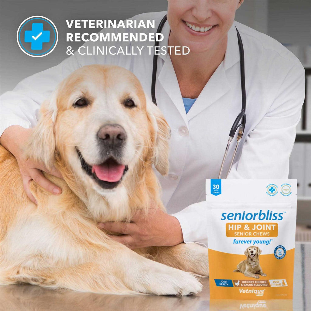 Supplement for Senior Dogs B70342