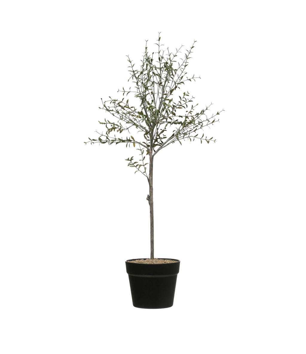 Faux Thyme Topiary in Pot P438971