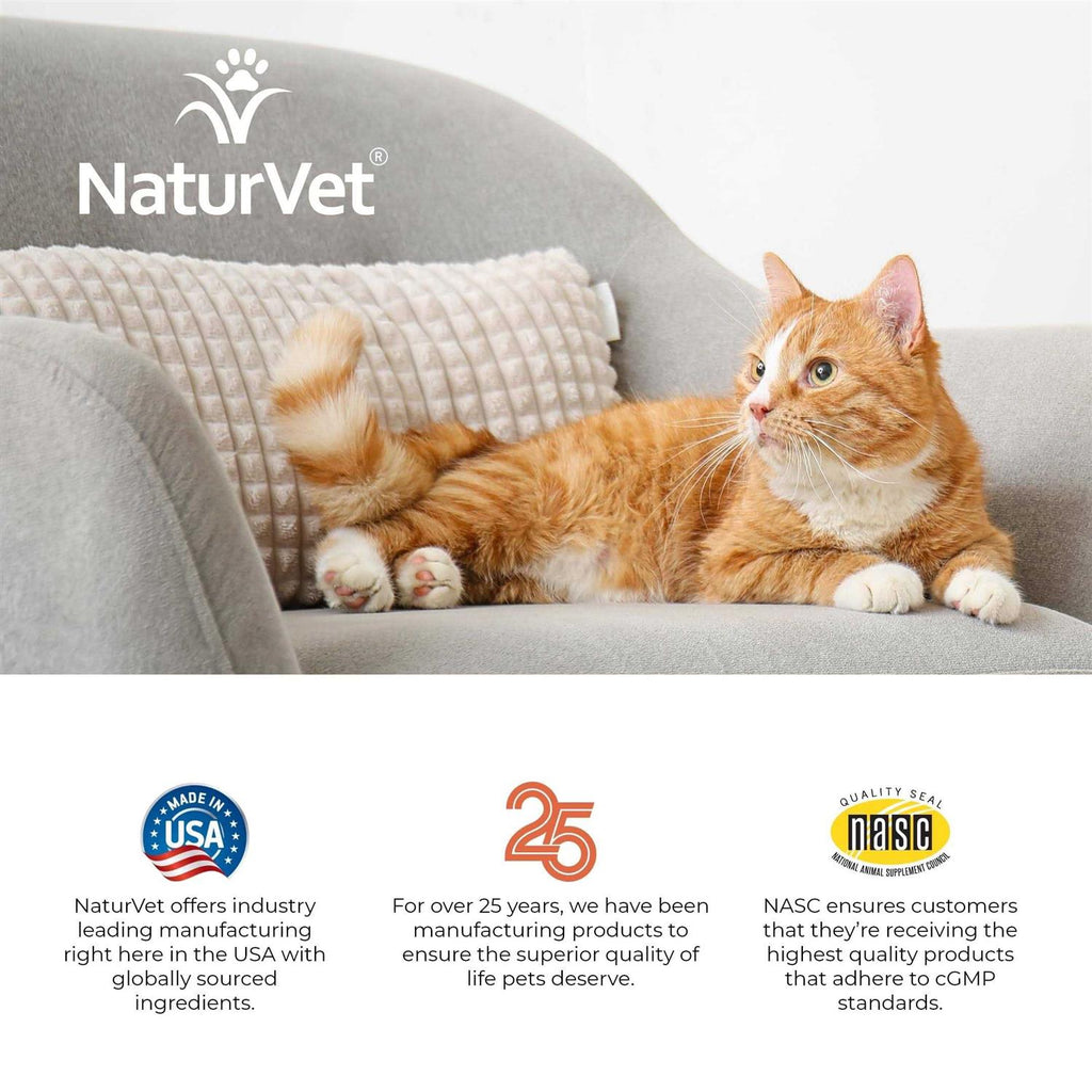 Senior Daily Vitamins Plus Glucosamine Cat Soft Chews R96132
