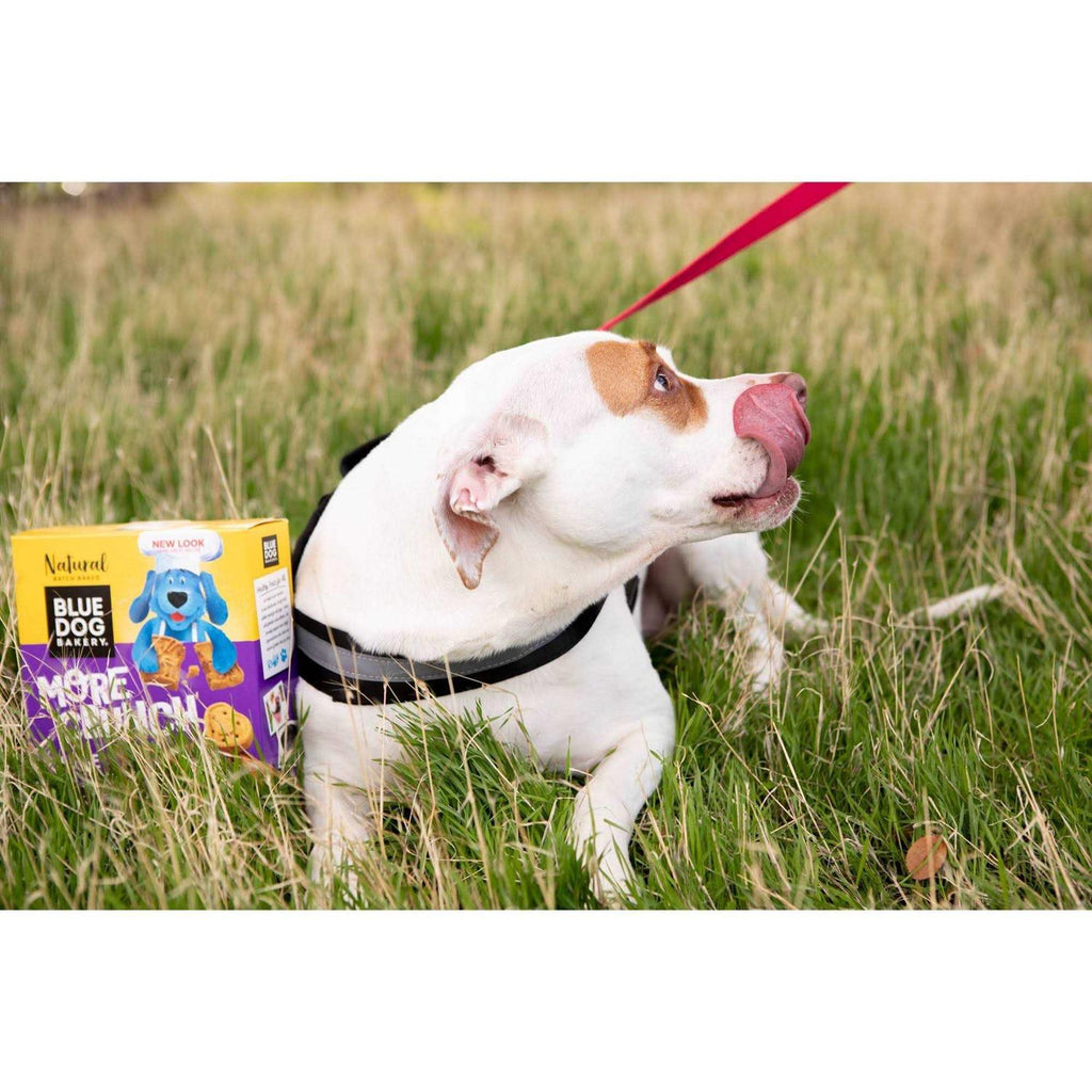 Assorted Flavors Dog Treats Z3802